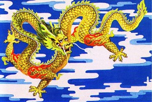 Chinese Water Dragon